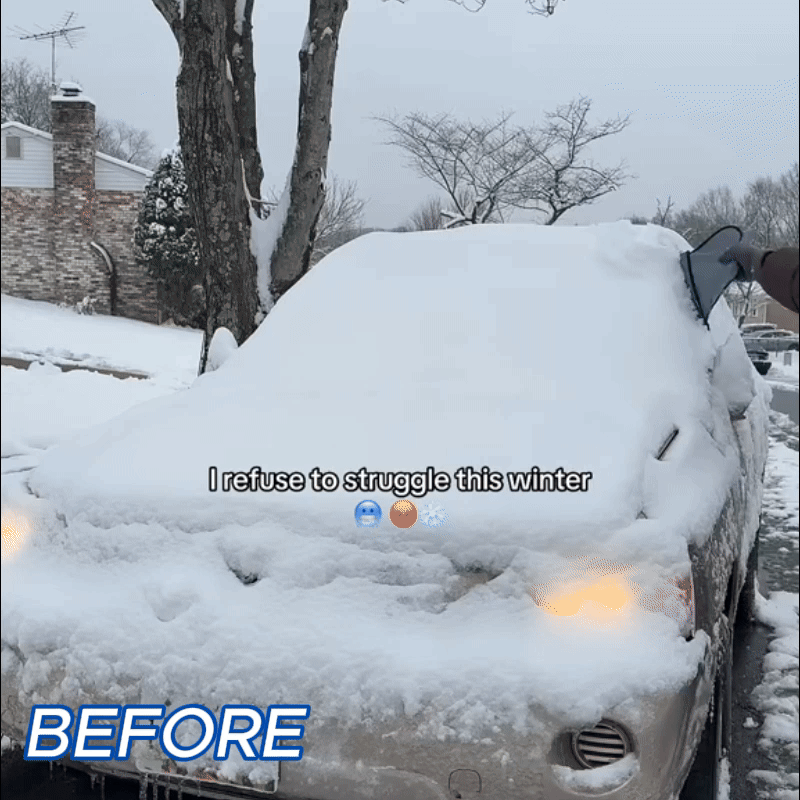 FrostDefender™ 2.0 Extra Strength Windshield Protector